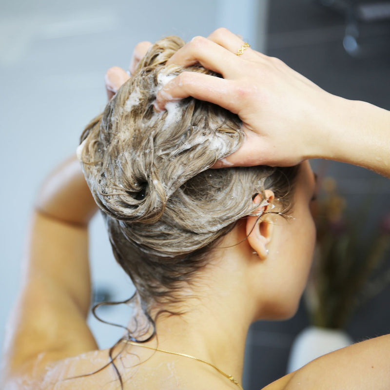 Shampoing solide bio Sentier vert - Cheveux Normaux à Gras